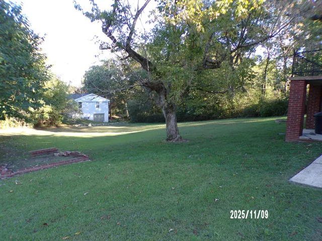 a view of a park with large trees