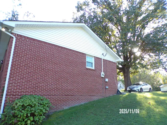 a view of a backyard with a large tree