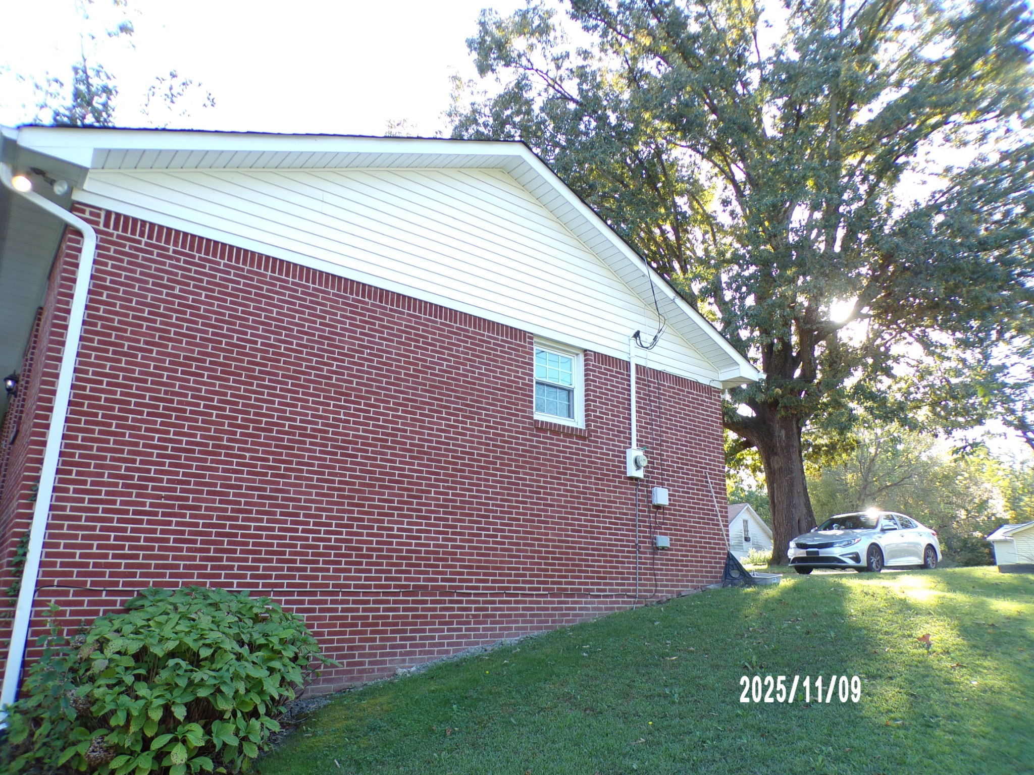 186 North Forrest Avenue Camden, TN 38320 - Photo 6 of 26 a view of a backyard with a large tree
