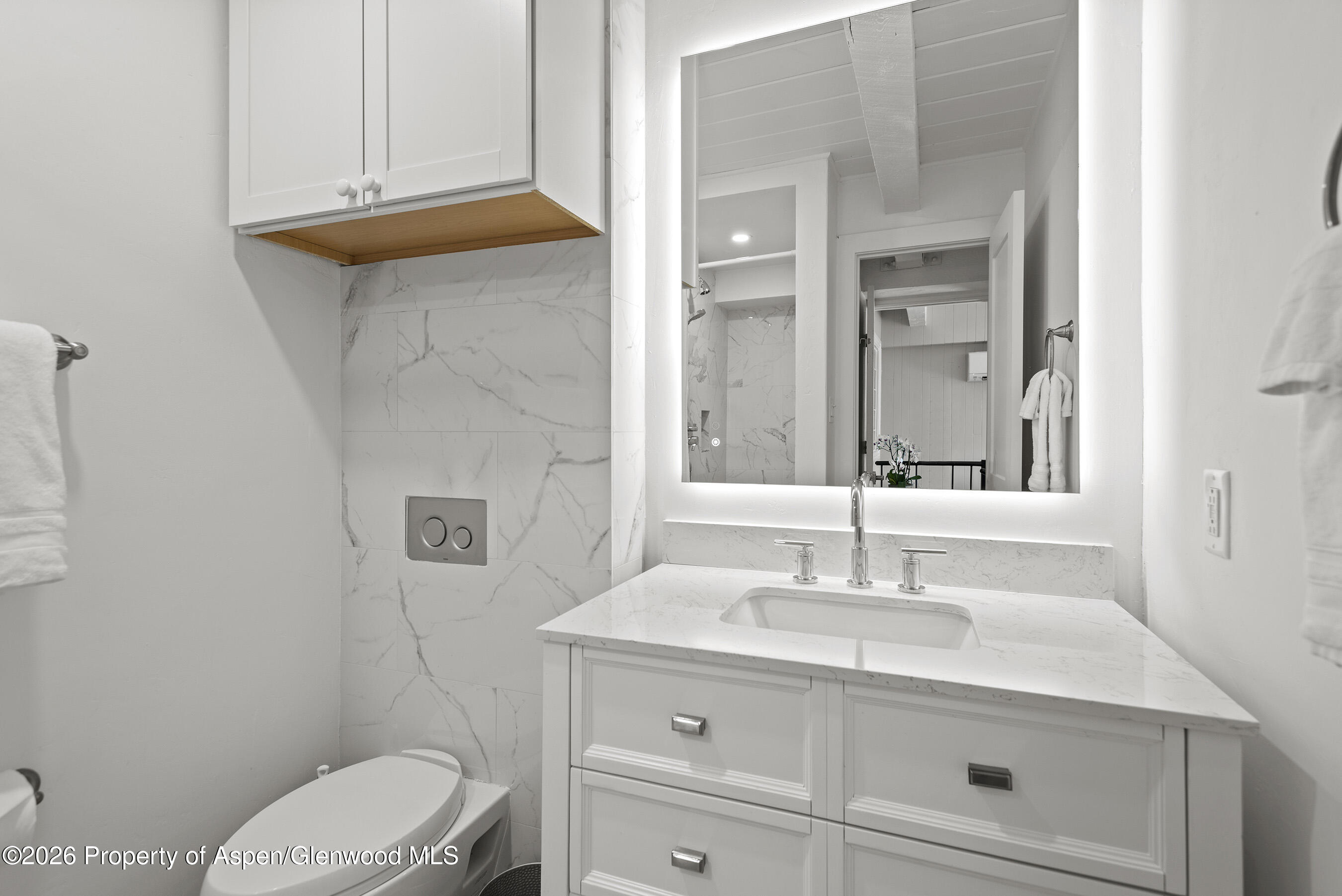 1024 East Cooper Avenue, Unit 2 Aspen, CO 81611 - Photo 17 of 25 Primary Bath