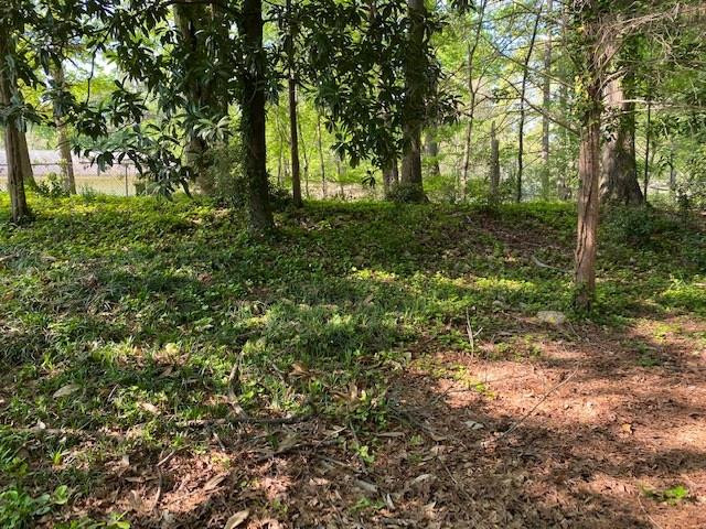 1308 Seabrook Road Raleigh, NC 27610 - Photo 3 of 3 Photo 3