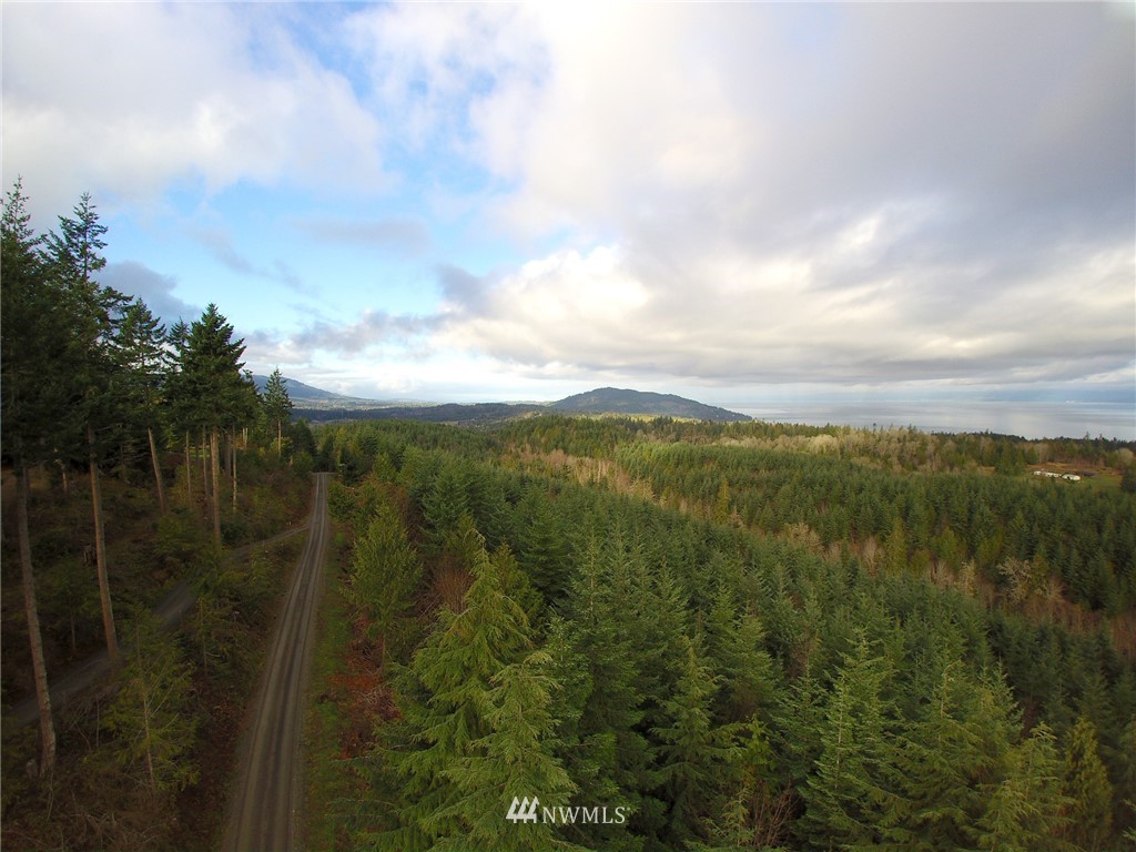 999 Cougar Ridge Road Port Angeles, WA 98363 - Photo 1 of 21 Gallery Image 1