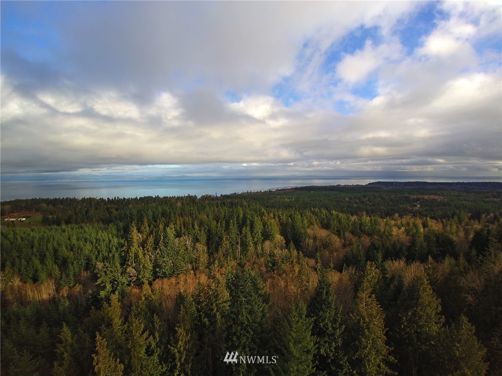 999 Cougar Ridge Road Port Angeles, WA 98363 - Photo 2 of 21 Gallery Image 2