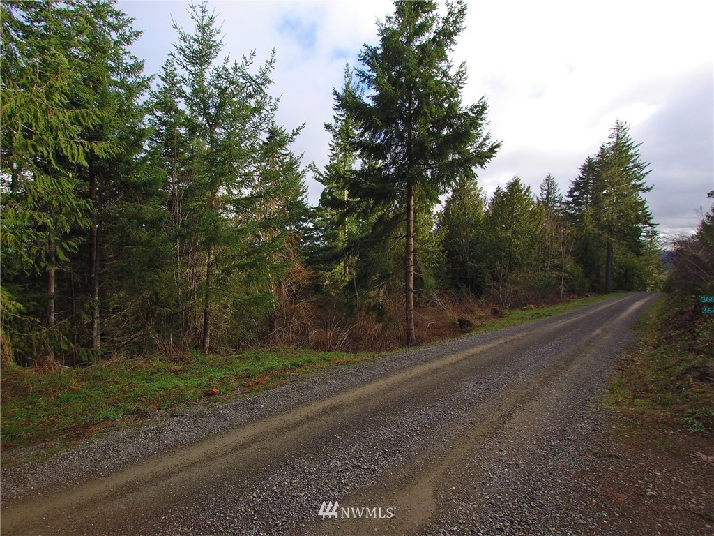 999 Cougar Ridge Road Port Angeles, WA 98363 - Photo 11 of 21 Gallery Image 11