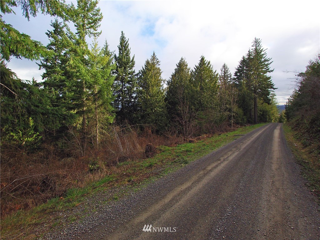 999 Cougar Ridge Road Port Angeles, WA 98363 - Photo 12 of 21 Gallery Image 12