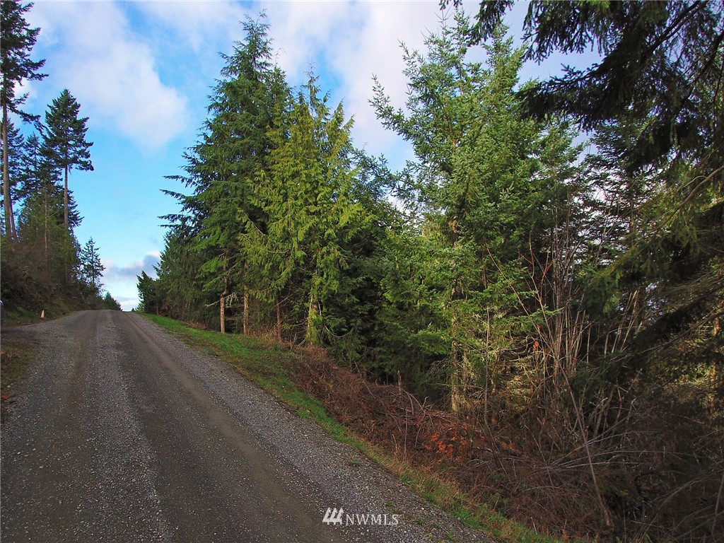 999 Cougar Ridge Road Port Angeles, WA 98363 - Photo 13 of 21 Gallery Image 13