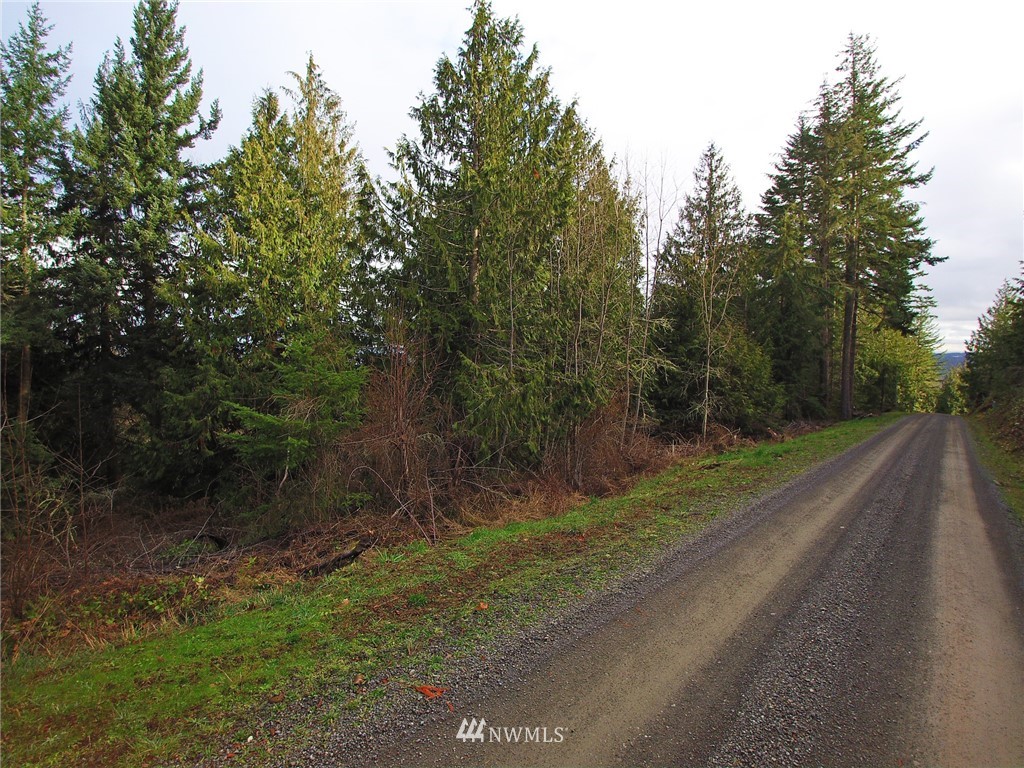 999 Cougar Ridge Road Port Angeles, WA 98363 - Photo 14 of 21 Gallery Image 14