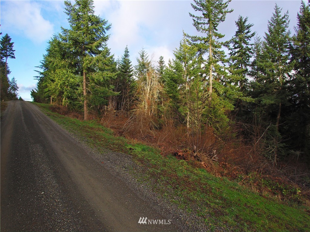 999 Cougar Ridge Road Port Angeles, WA 98363 - Photo 15 of 21 Gallery Image 15