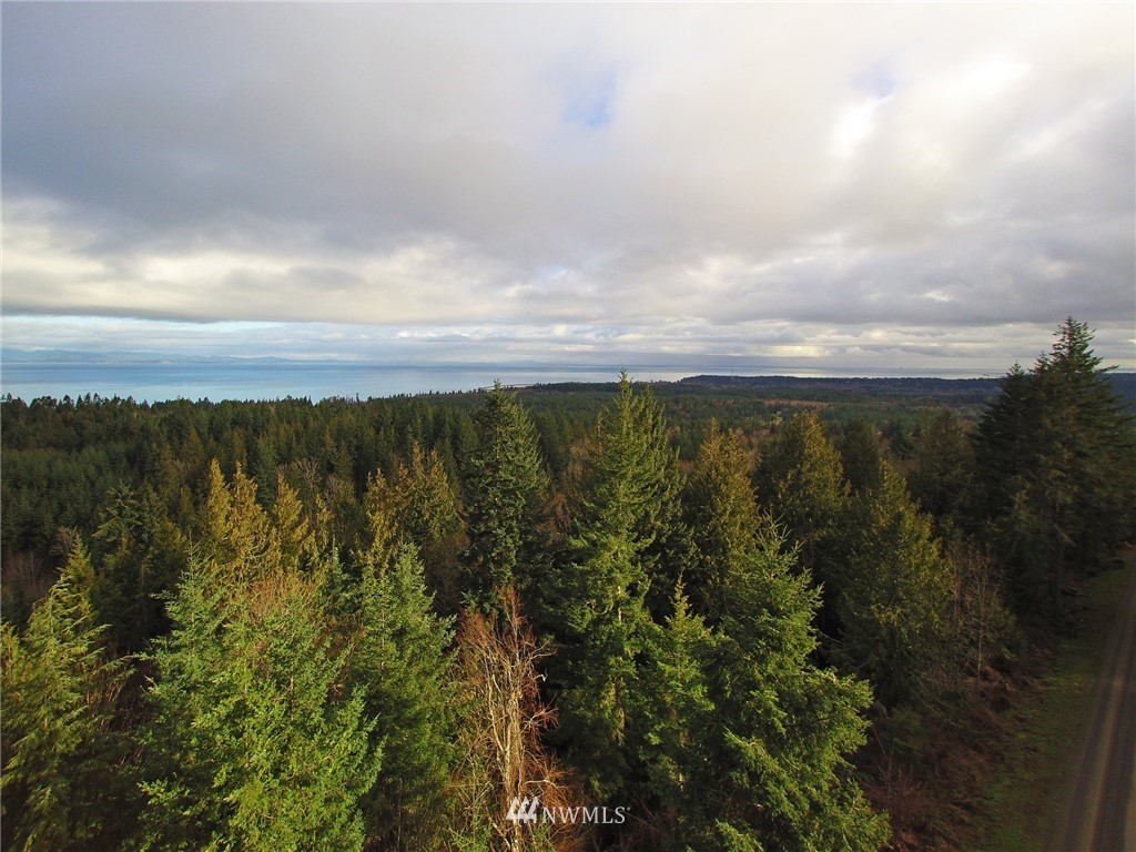 999 Cougar Ridge Road Port Angeles, WA 98363 - Photo 16 of 21 Gallery Image 16