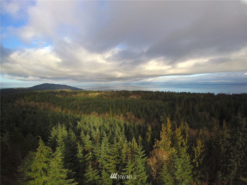 999 Cougar Ridge Road Port Angeles, WA 98363 - Photo 17 of 21 Gallery Image 17