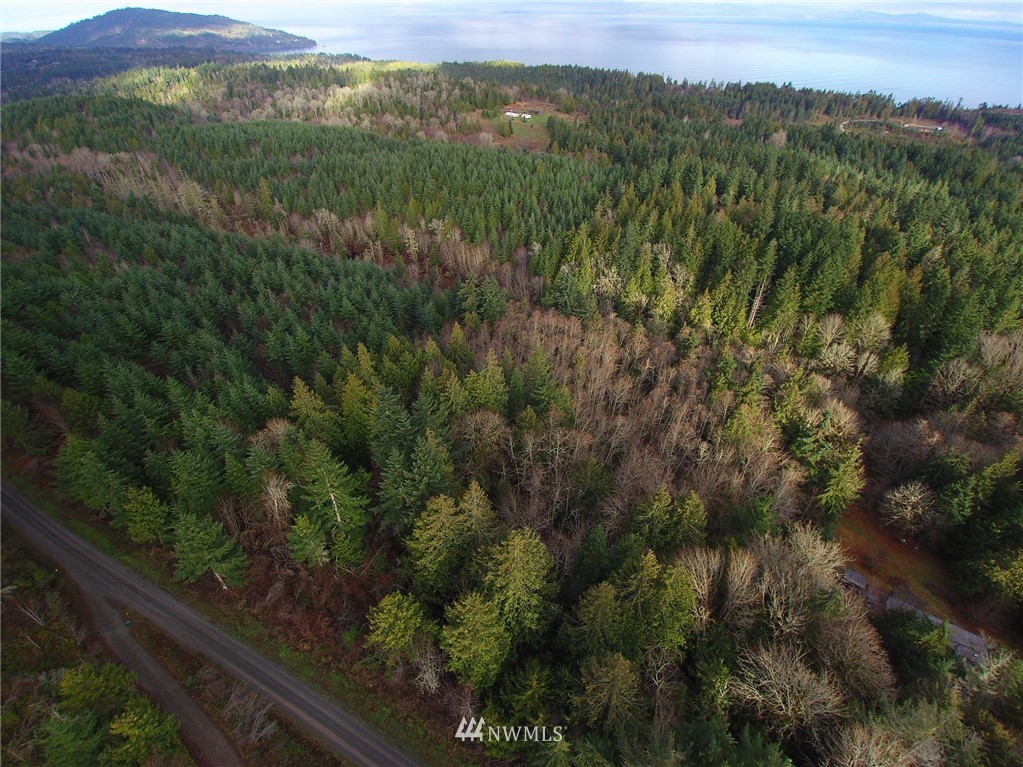999 Cougar Ridge Road Port Angeles, WA 98363 - Photo 3 of 21 Gallery Image 3