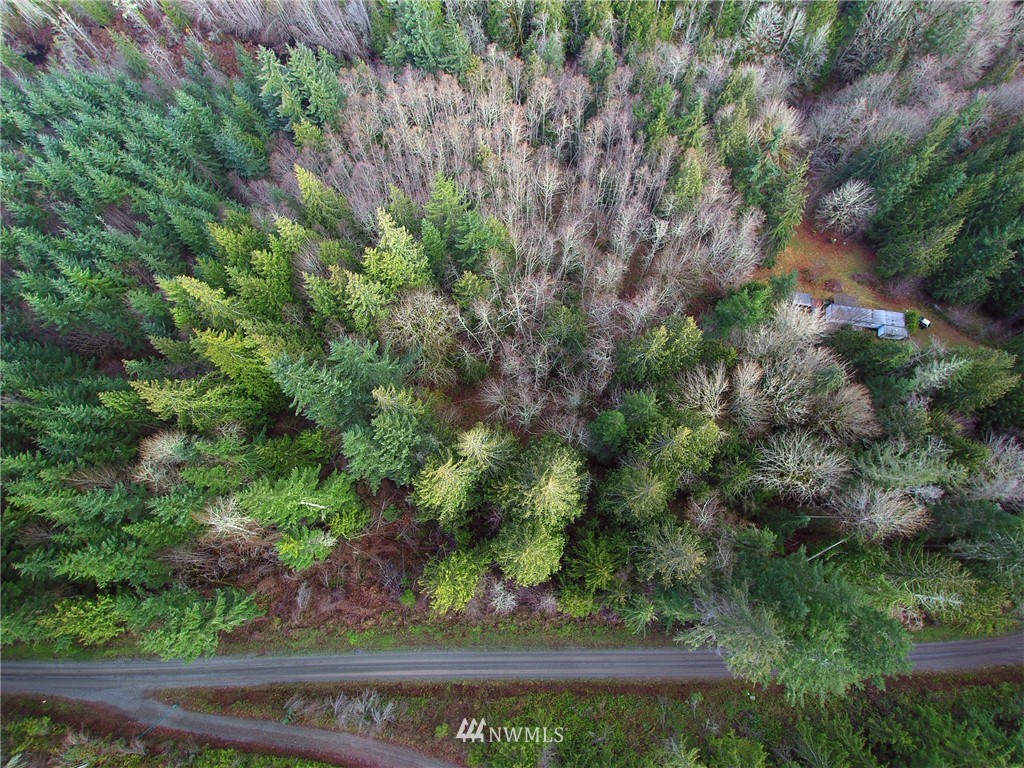 999 Cougar Ridge Road Port Angeles, WA 98363 - Photo 4 of 21 Gallery Image 4