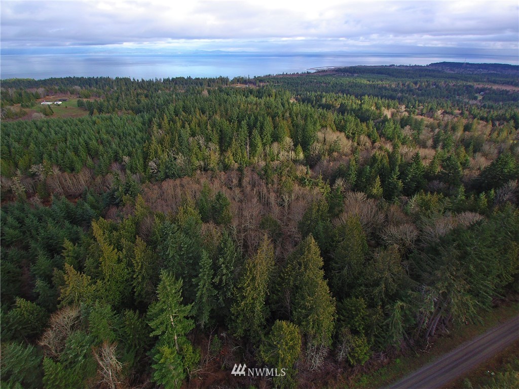 999 Cougar Ridge Road Port Angeles, WA 98363 - Photo 5 of 21 Gallery Image 5