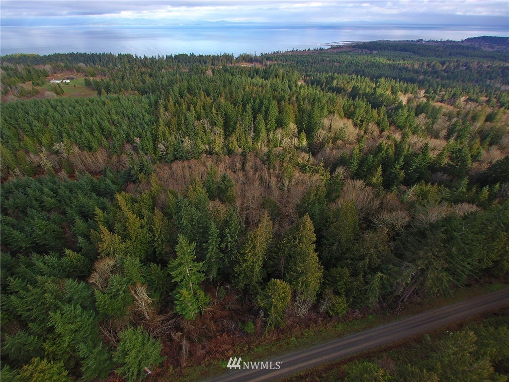 999 Cougar Ridge Road Port Angeles, WA 98363 - Photo 6 of 21 Gallery Image 6
