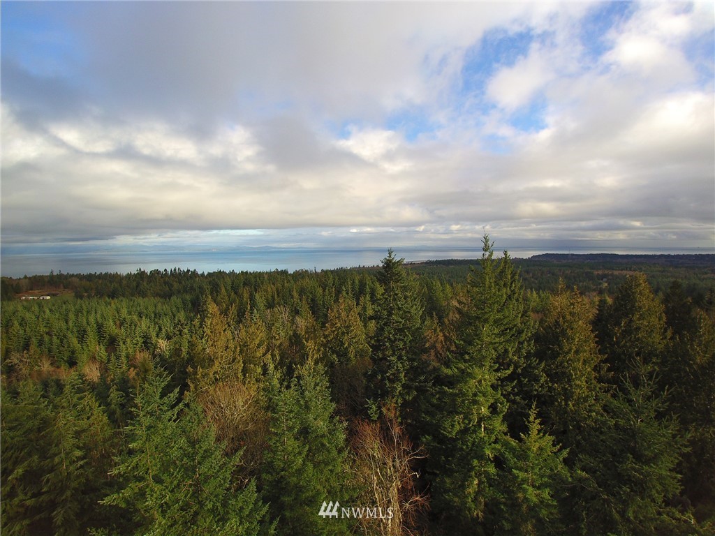 999 Cougar Ridge Road Port Angeles, WA 98363 - Photo 8 of 21 Gallery Image 8