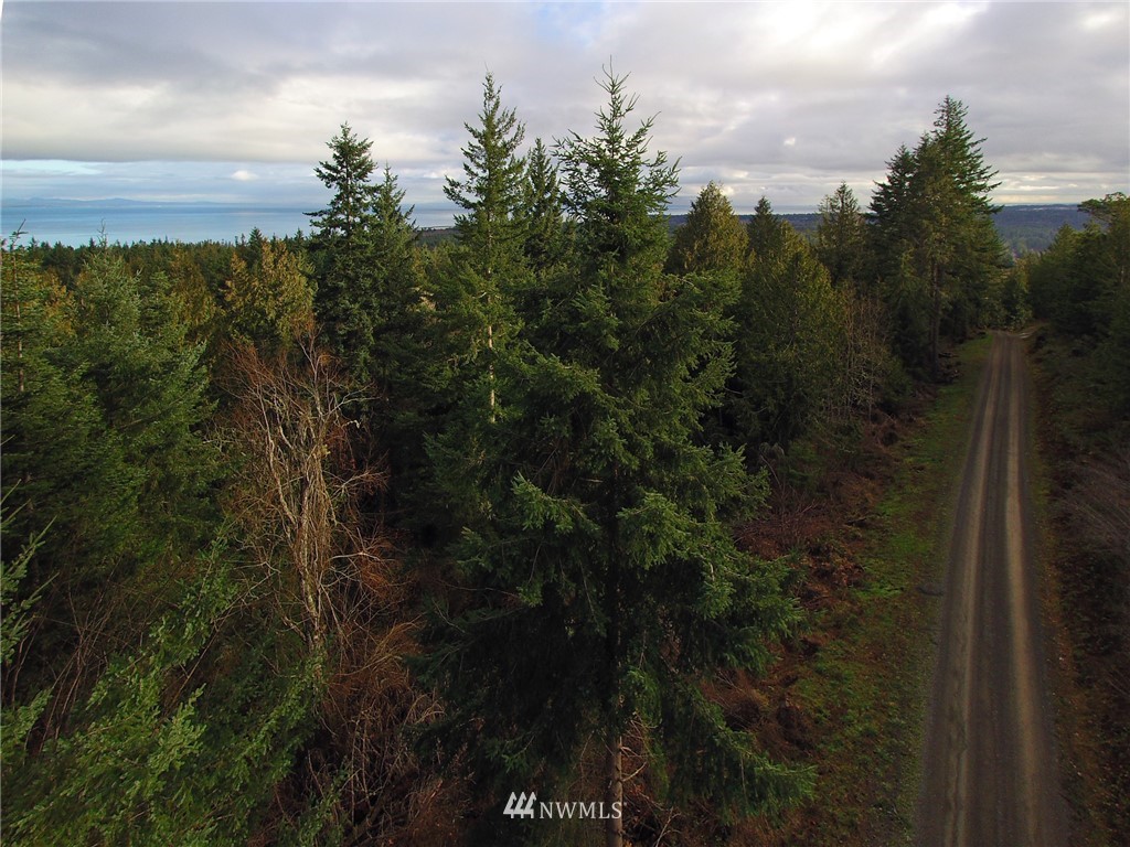 999 Cougar Ridge Road Port Angeles, WA 98363 - Photo 10 of 21 Gallery Image 10