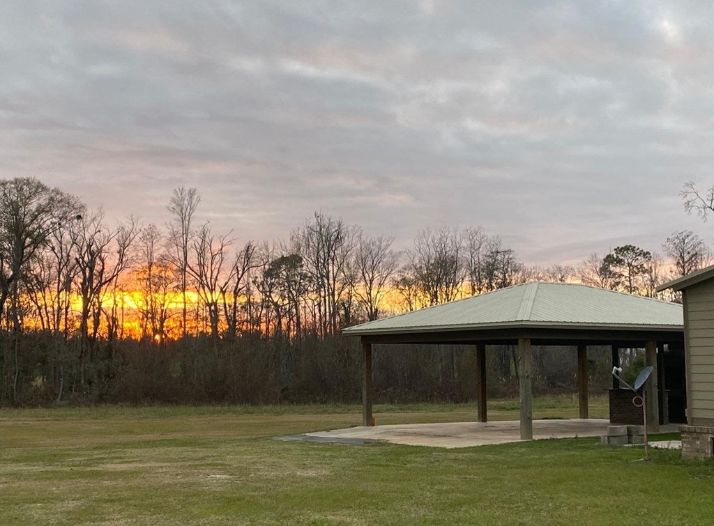 357 Shiloh Road Ray City, GA 31645 - Photo 8 of 42 Gallery Image 8