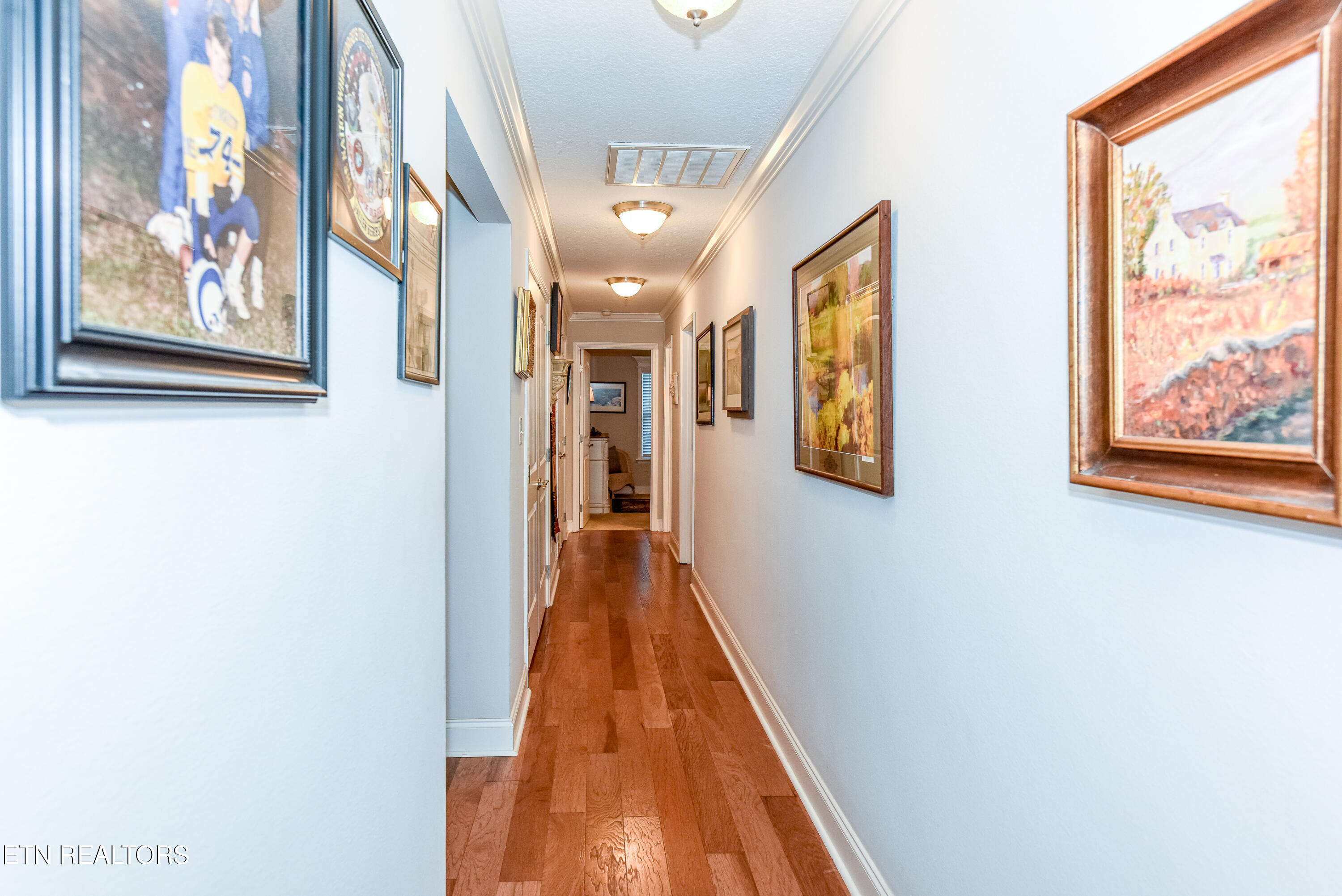 1131 Houston Springs Road Greenback, TN 37742 - Photo 31 of 51 _DSC0573