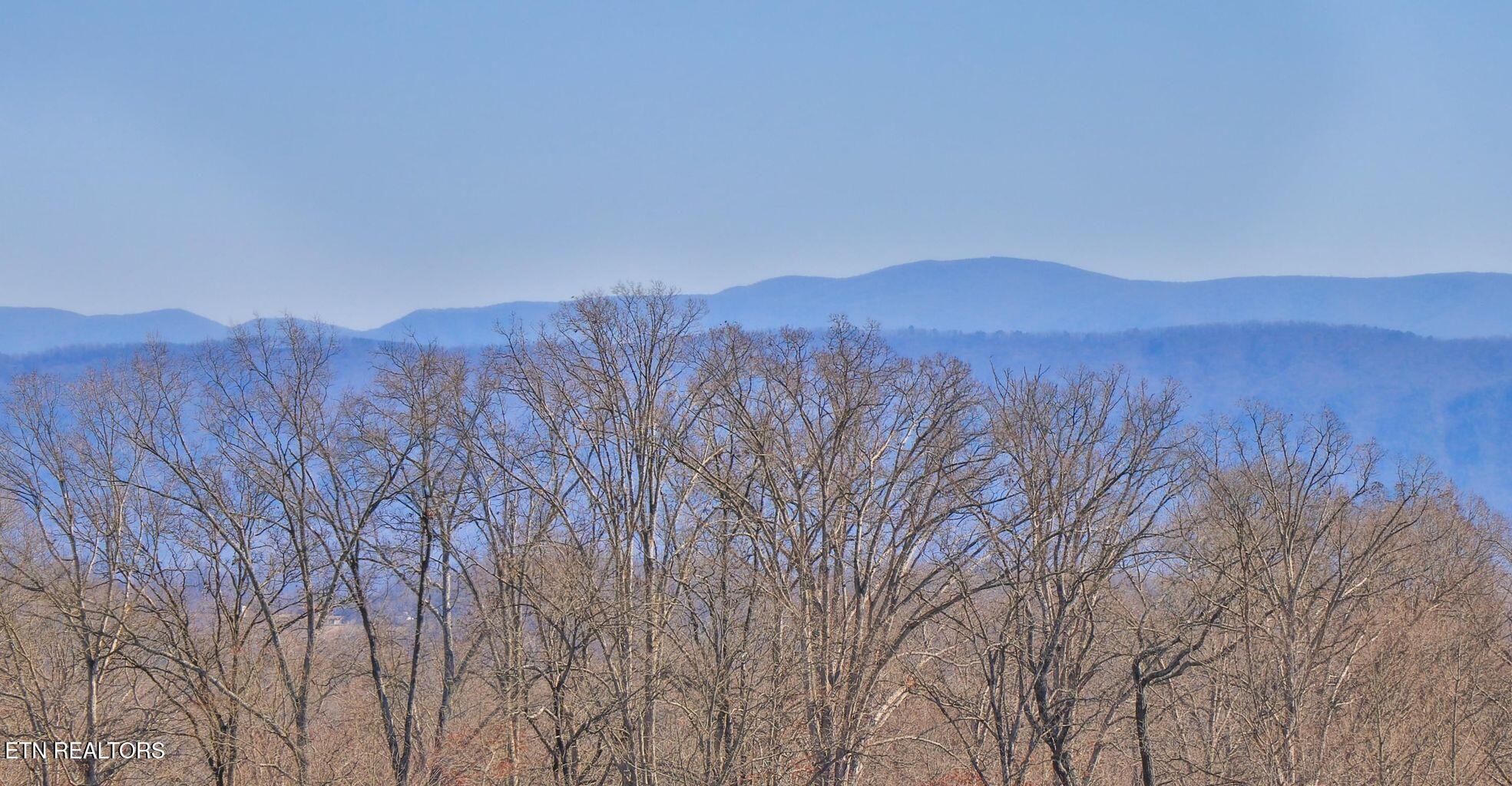 1131 Houston Springs Road Greenback, TN 37742 - Photo 4 of 51 20210225205409733279000000-o