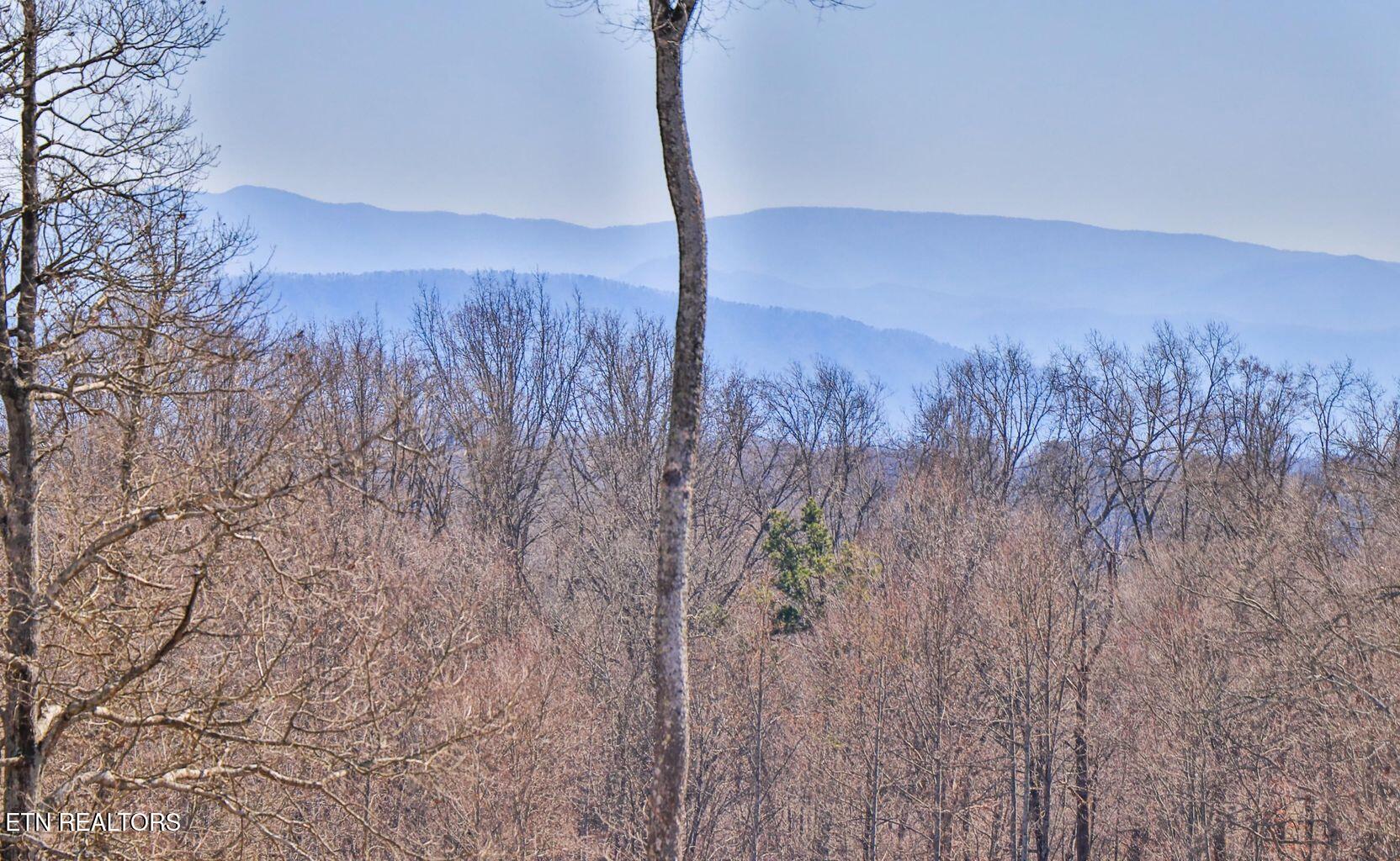 1131 Houston Springs Road Greenback, TN 37742 - Photo 43 of 51 20210225205202493232000000-o