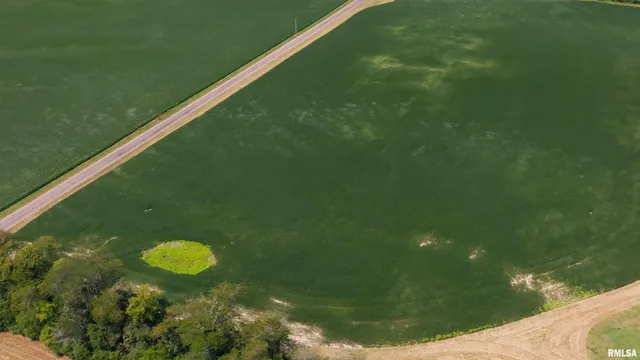 $1,001,320 | 0 County Road 1550 Road, Oakland, IL 61943