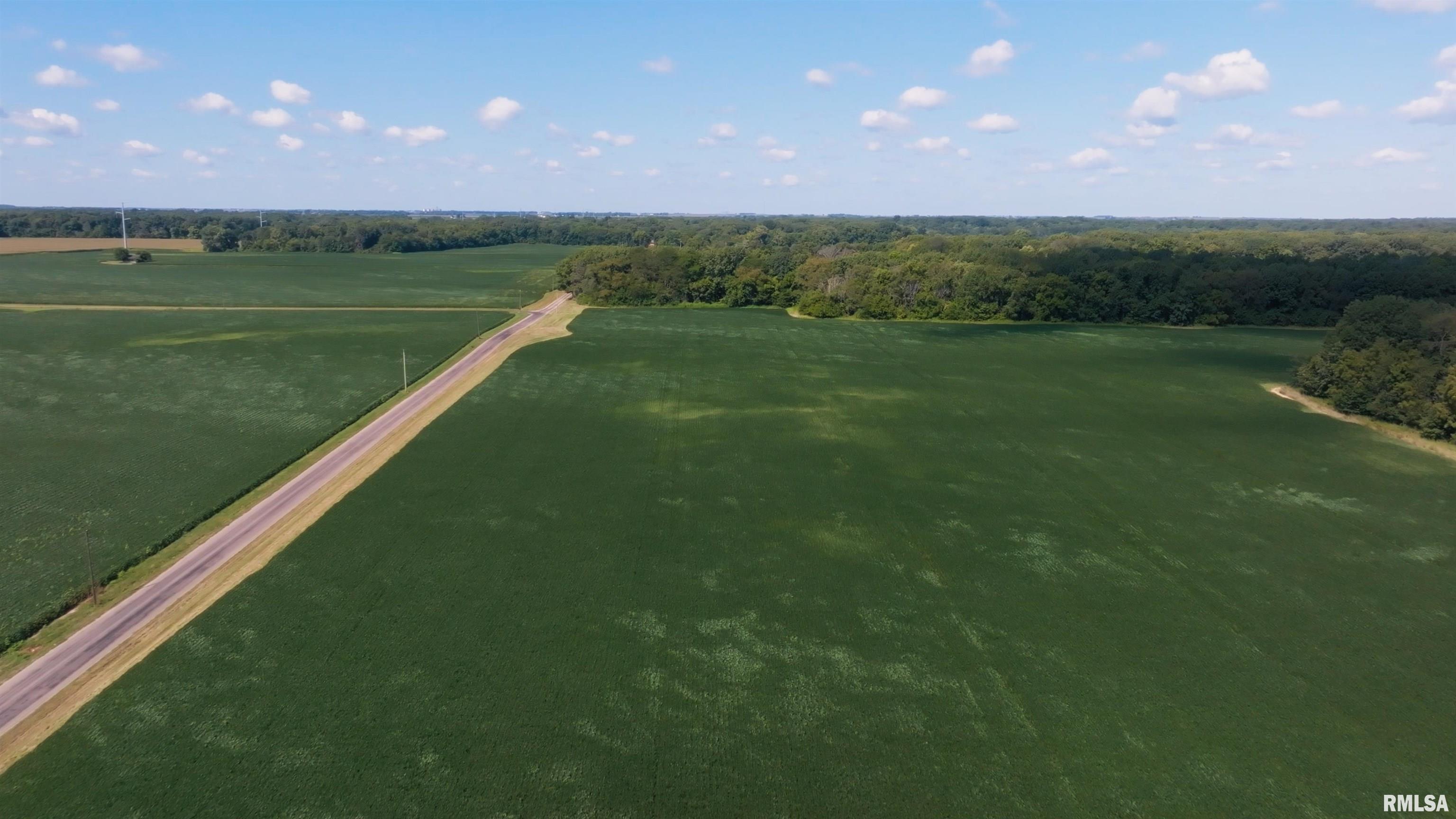 0 County Road 1550 Road Oakland, IL 61943 - Photo 12 of 22