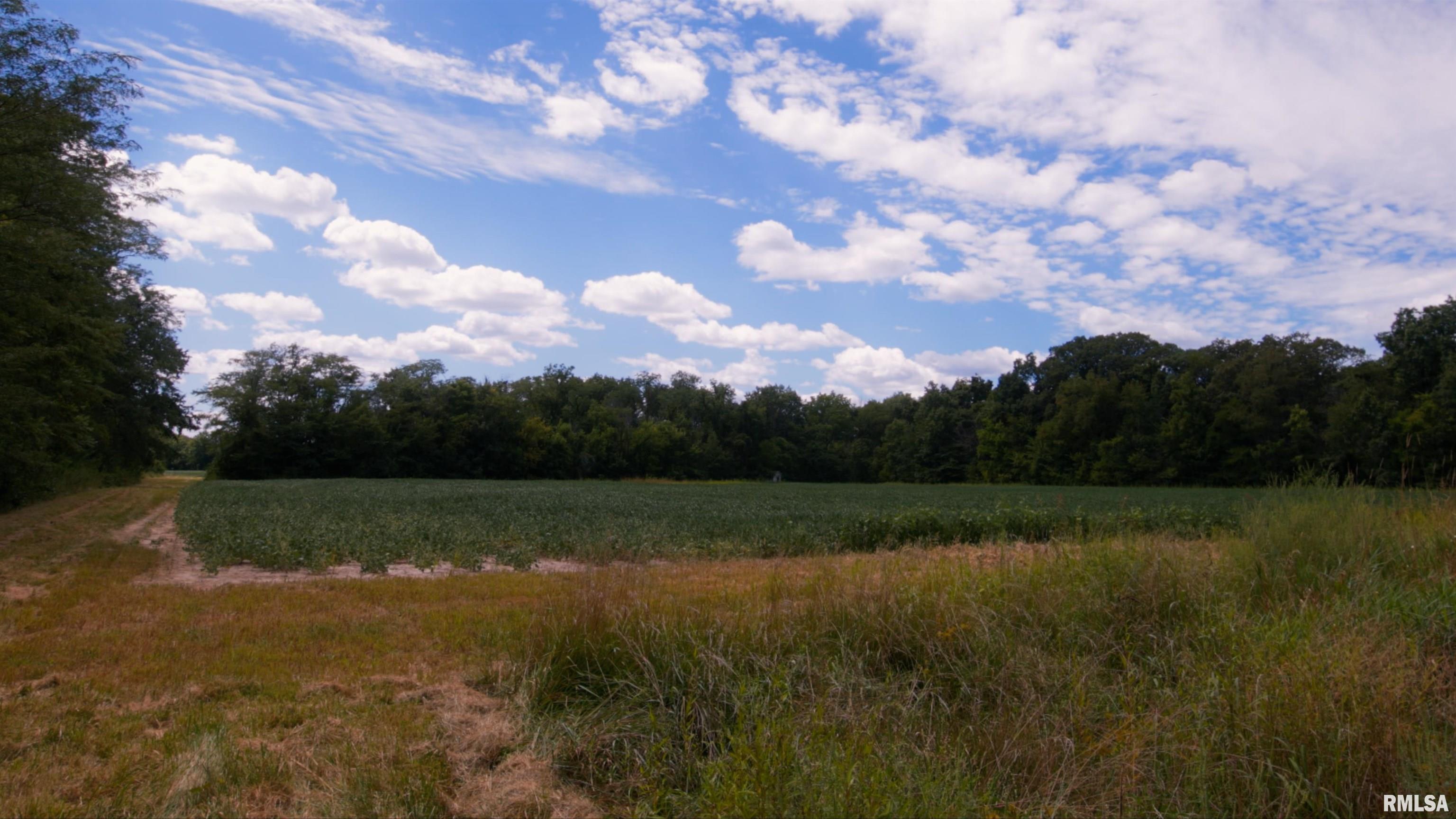 0 County Road 1550 Road Oakland, IL 61943 - Photo 16 of 22