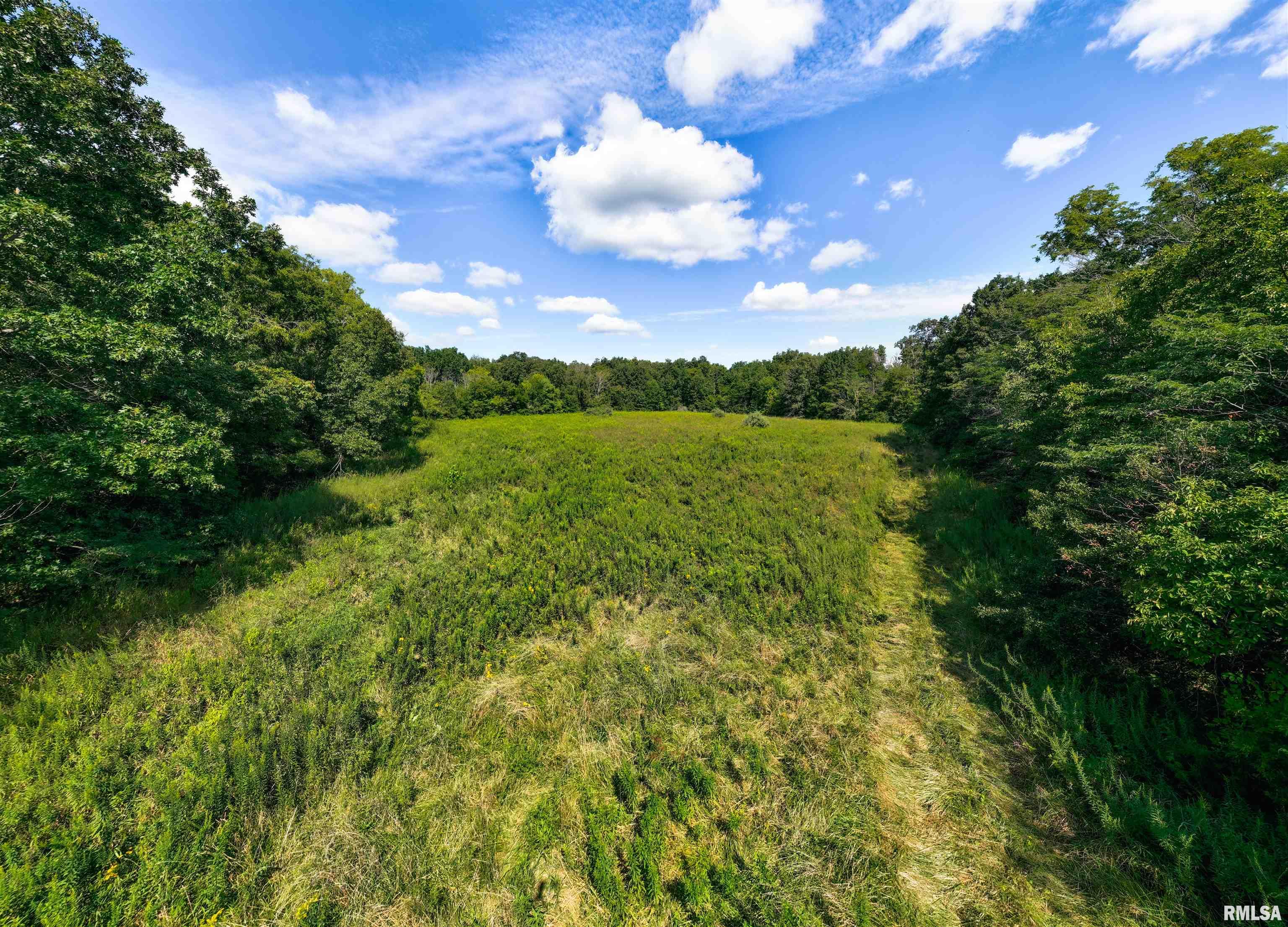 0 County Road 1550 Road Oakland, IL 61943 - Photo 17 of 22