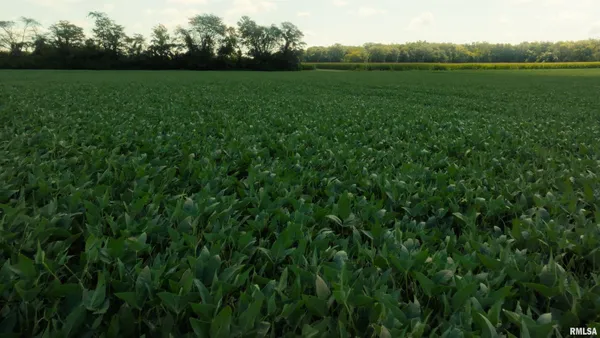 $865,000 | 0 County Road 1550 Road, Oakland, IL 61943