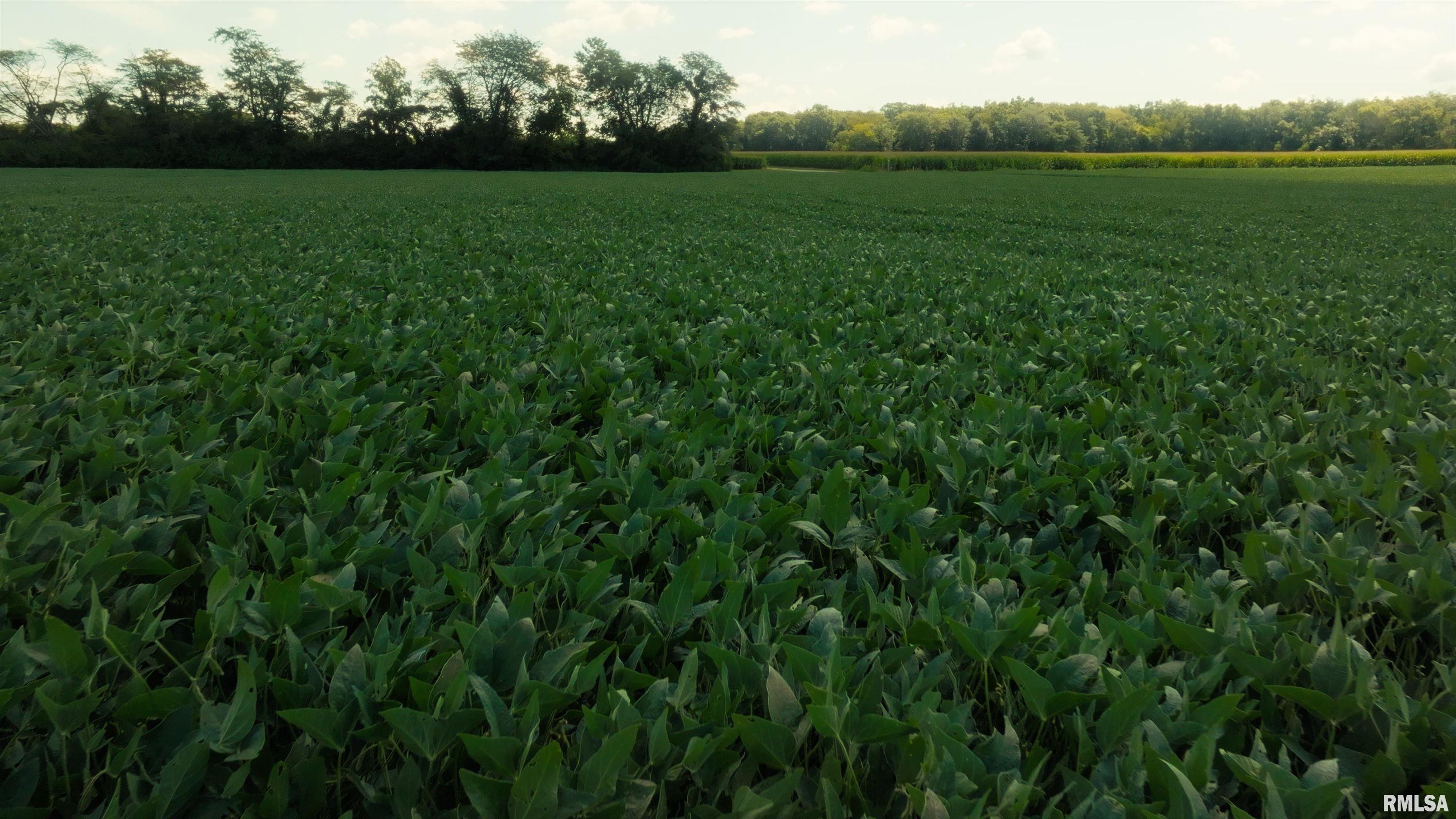 0 County Road 1550 Road Oakland, IL 61943 - Photo 18 of 22