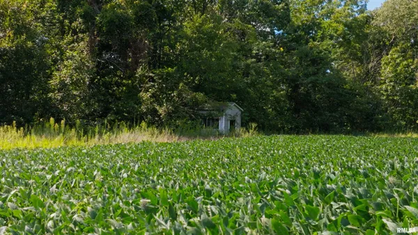 $865,000 | 0 County Road 1550 Road, Oakland, IL 61943