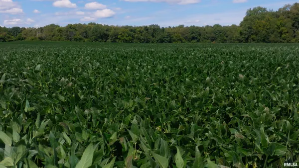 $865,000 | 0 County Road 1550 Road, Oakland, IL 61943