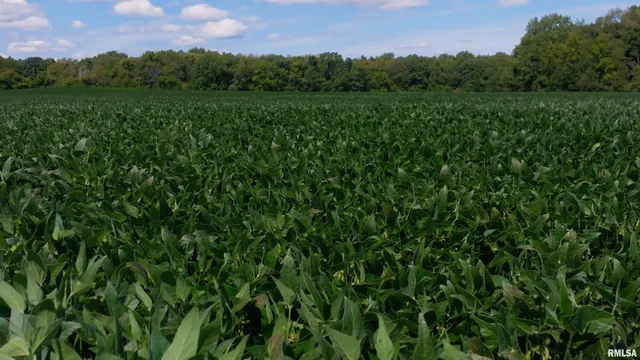 $1,001,320 | 0 County Road 1550 Road, Oakland, IL 61943