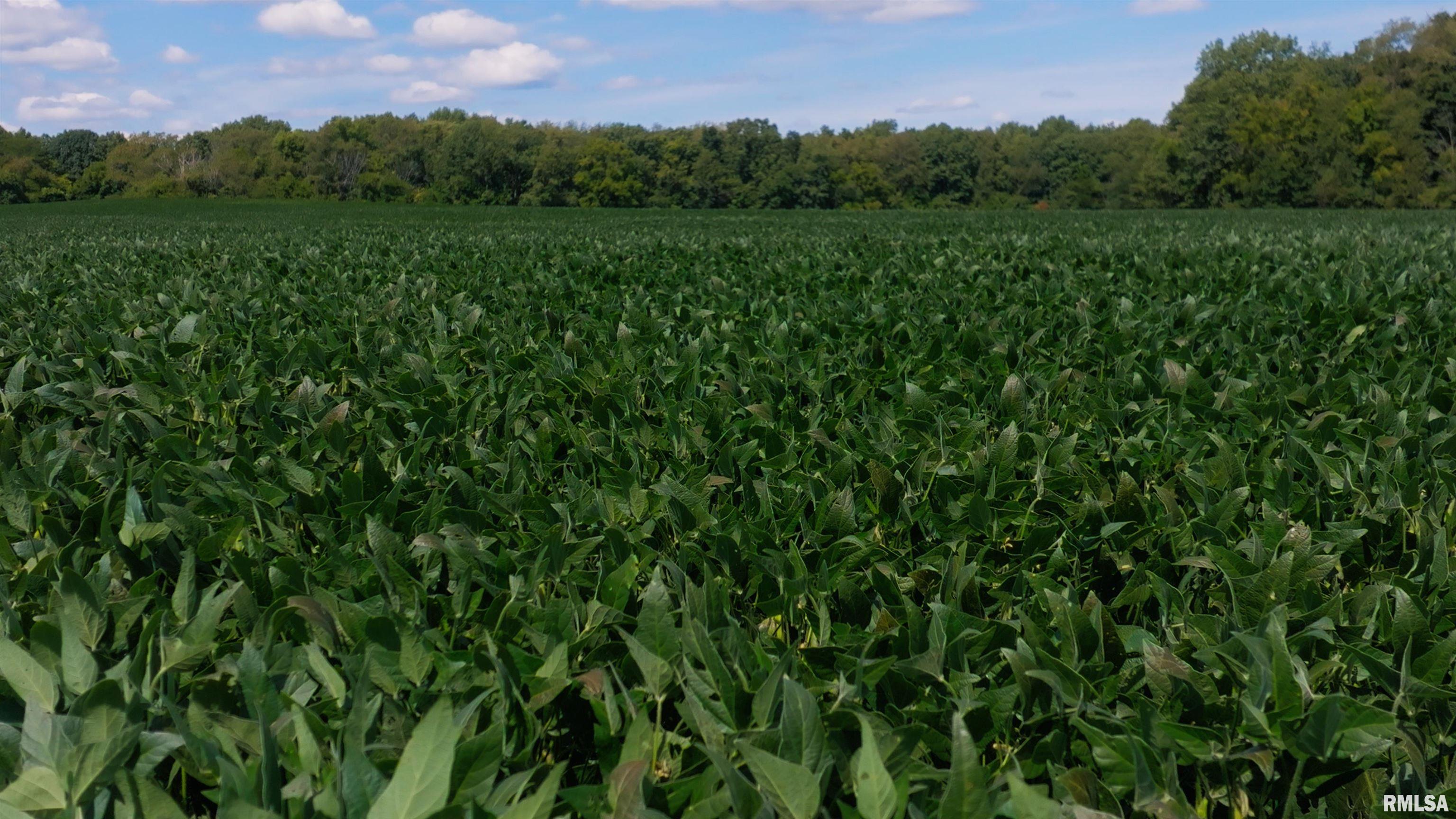 0 County Road 1550 Road Oakland, IL 61943 - Photo 20 of 22