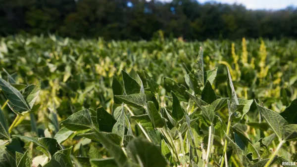 $865,000 | 0 County Road 1550 Road, Oakland, IL 61943