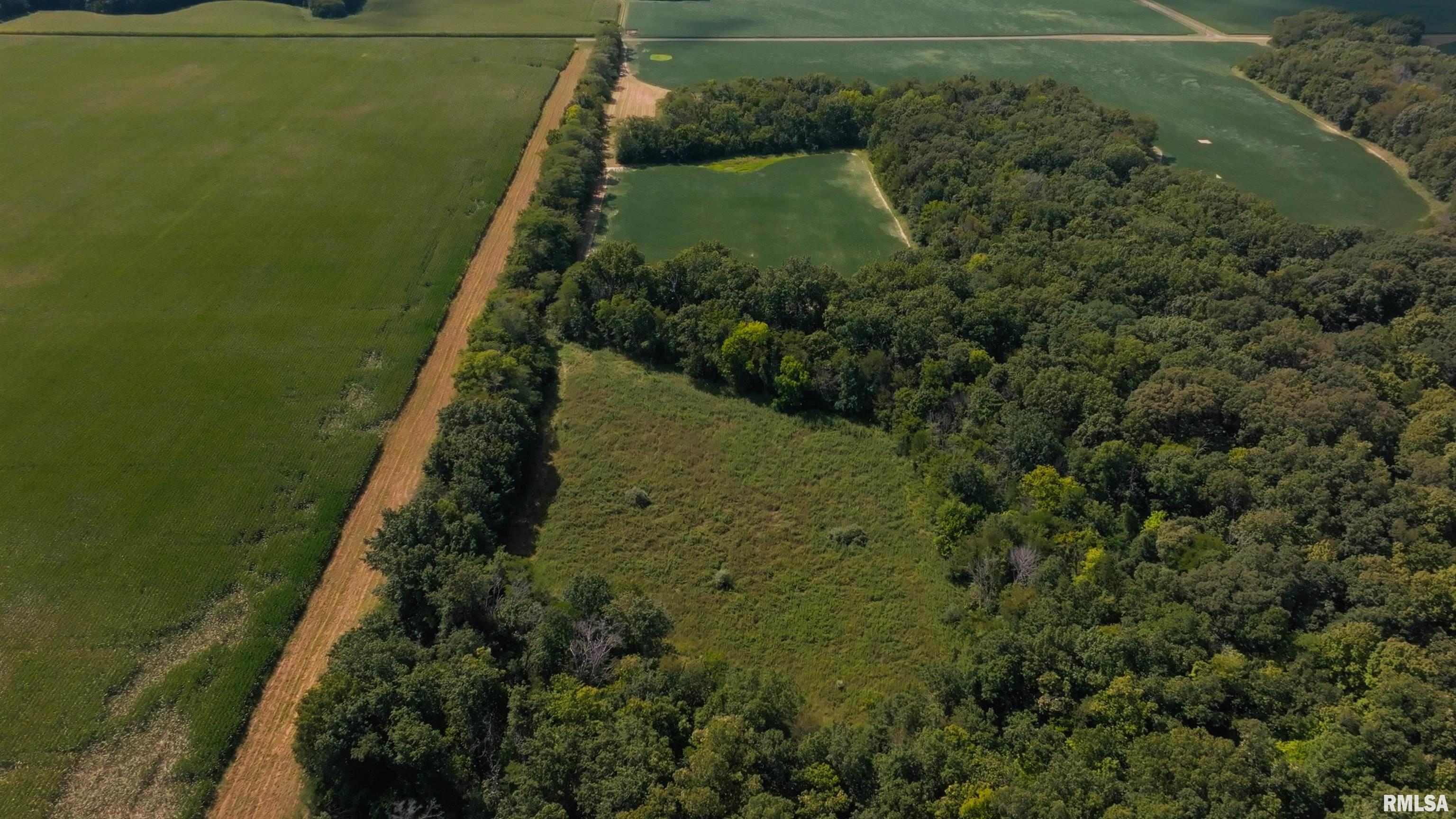0 County Road 1550 Road Oakland, IL 61943 - Photo 3 of 22