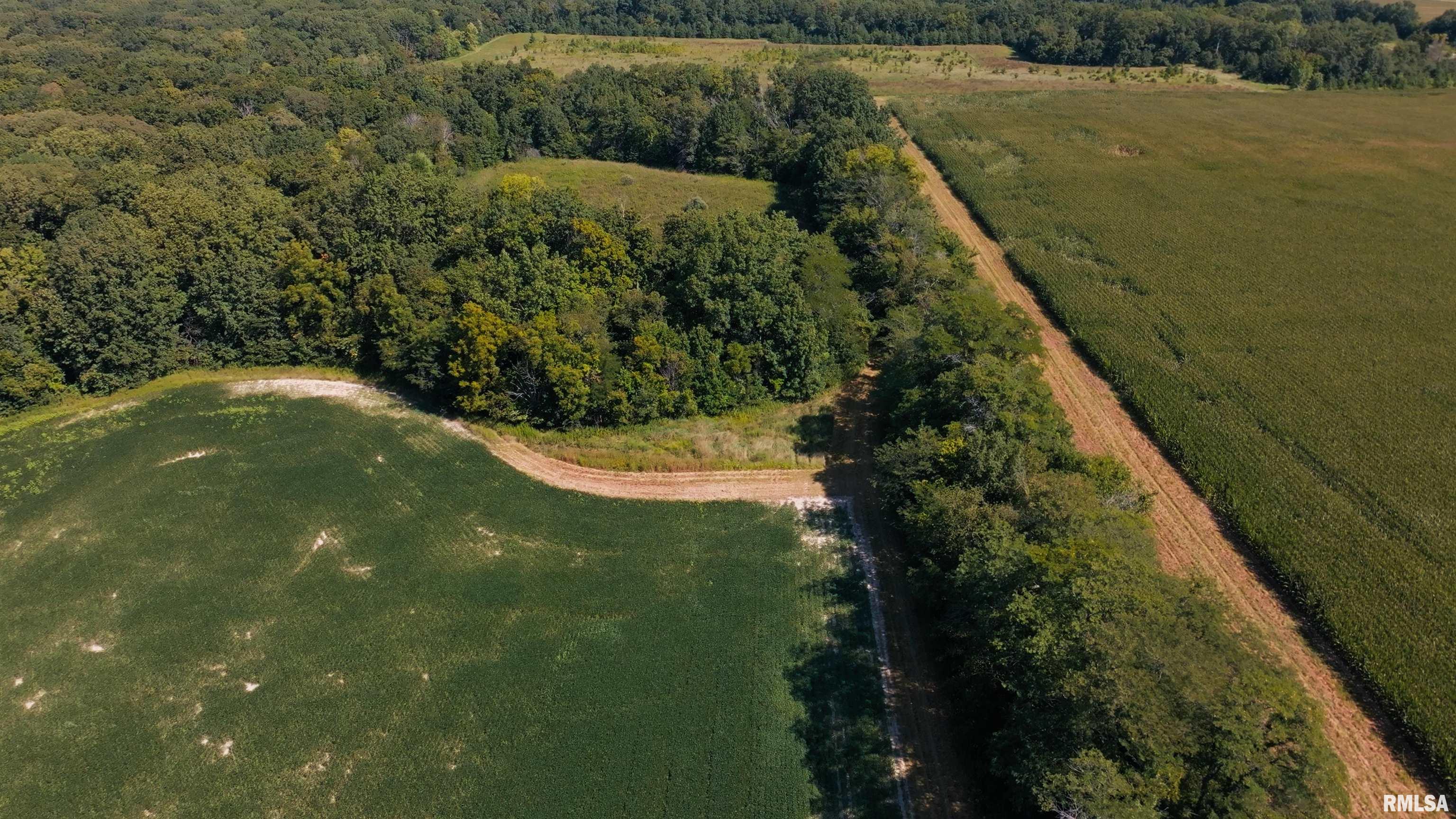 0 County Road 1550 Road Oakland, IL 61943 - Photo 5 of 22