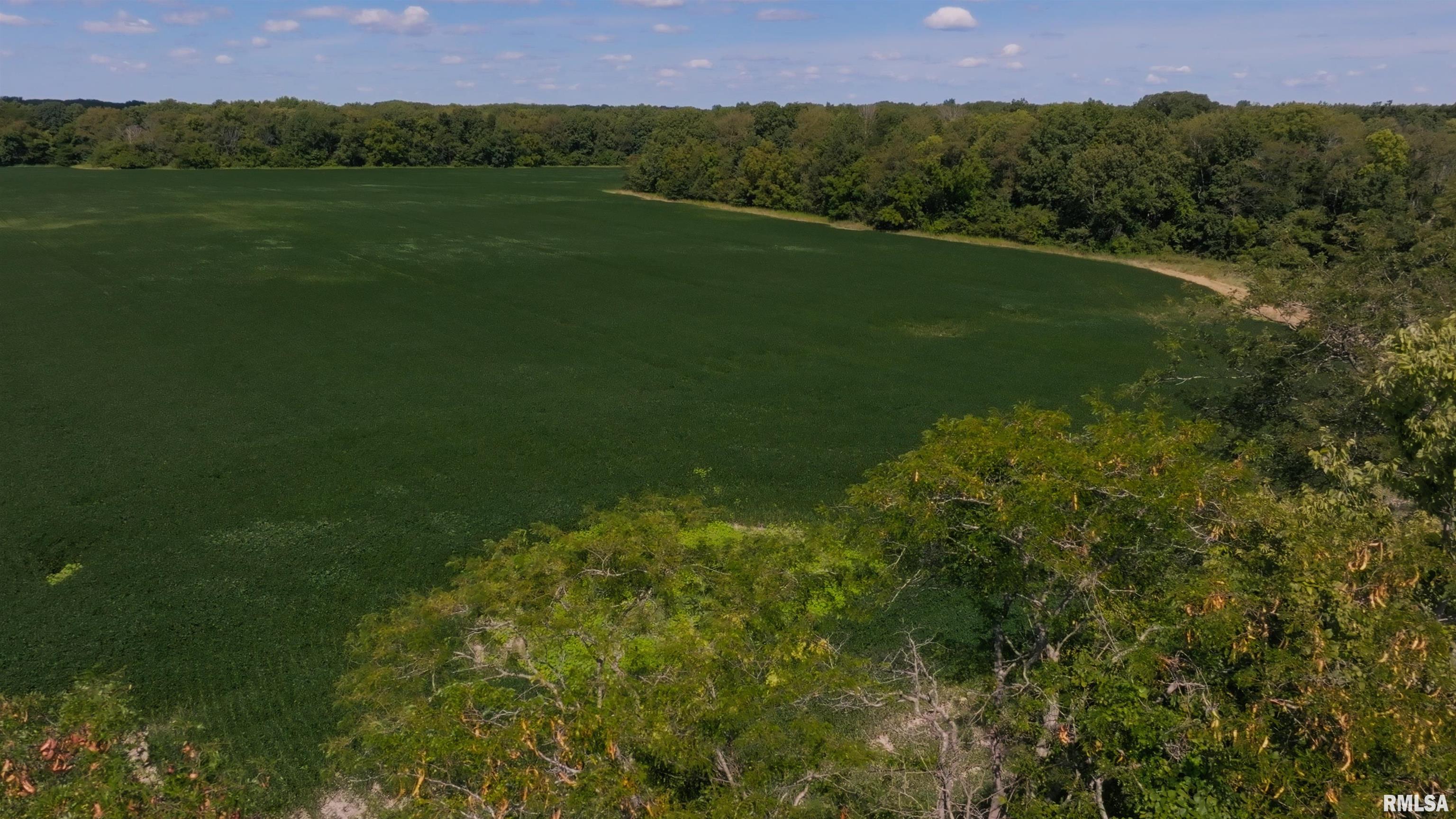 0 County Road 1550 Road Oakland, IL 61943 - Photo 6 of 22