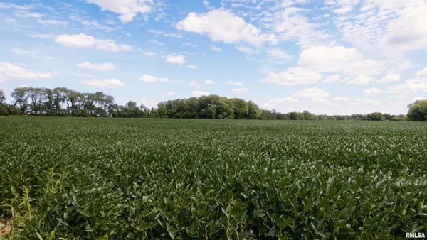 $865,000 | 0 County Road 1550 Road, Oakland, IL 61943