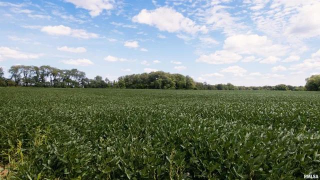 $1,001,320 | 0 County Road 1550 Road, Oakland, IL 61943