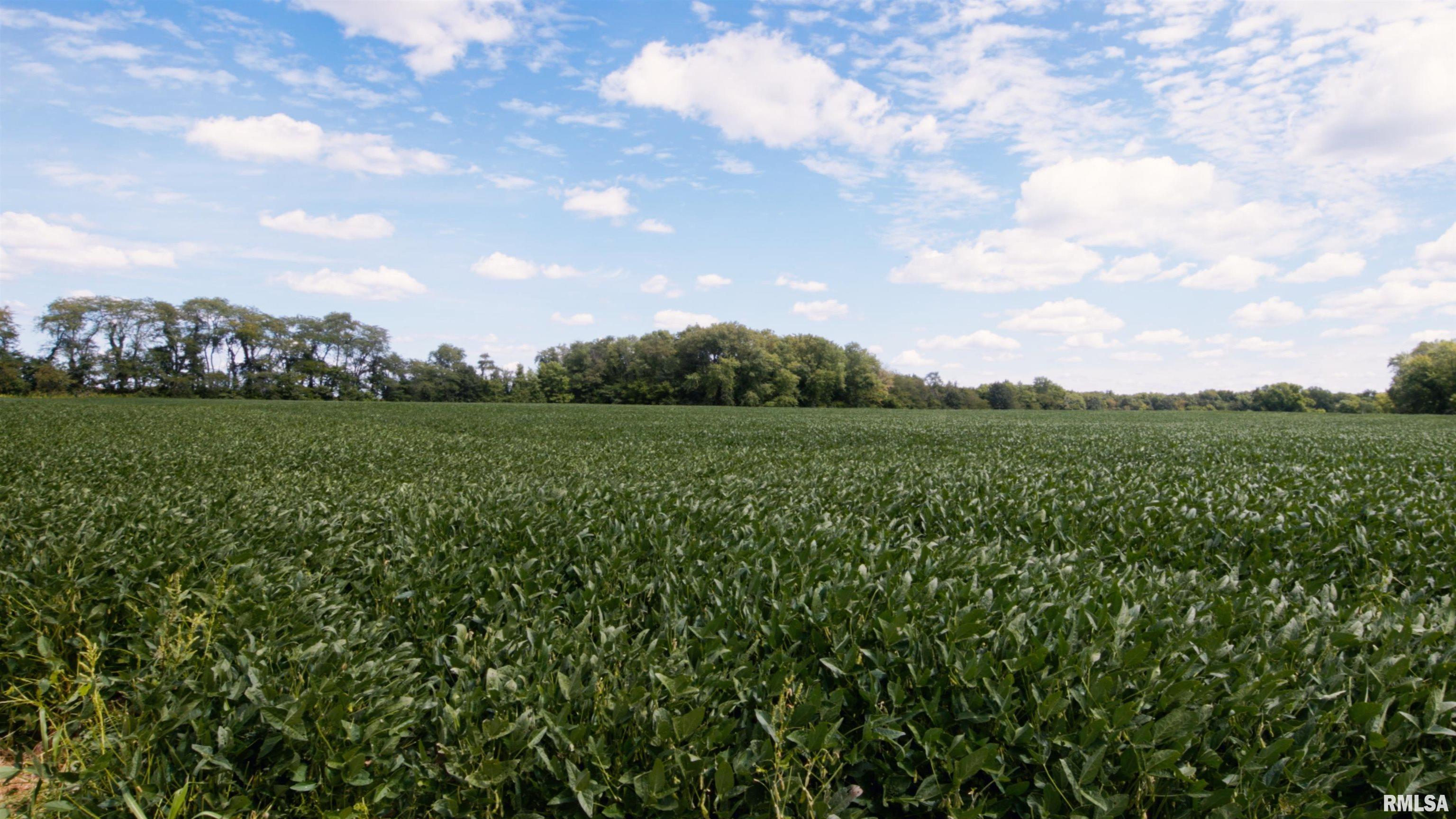 0 County Road 1550 Road Oakland, IL 61943 - Photo 9 of 22