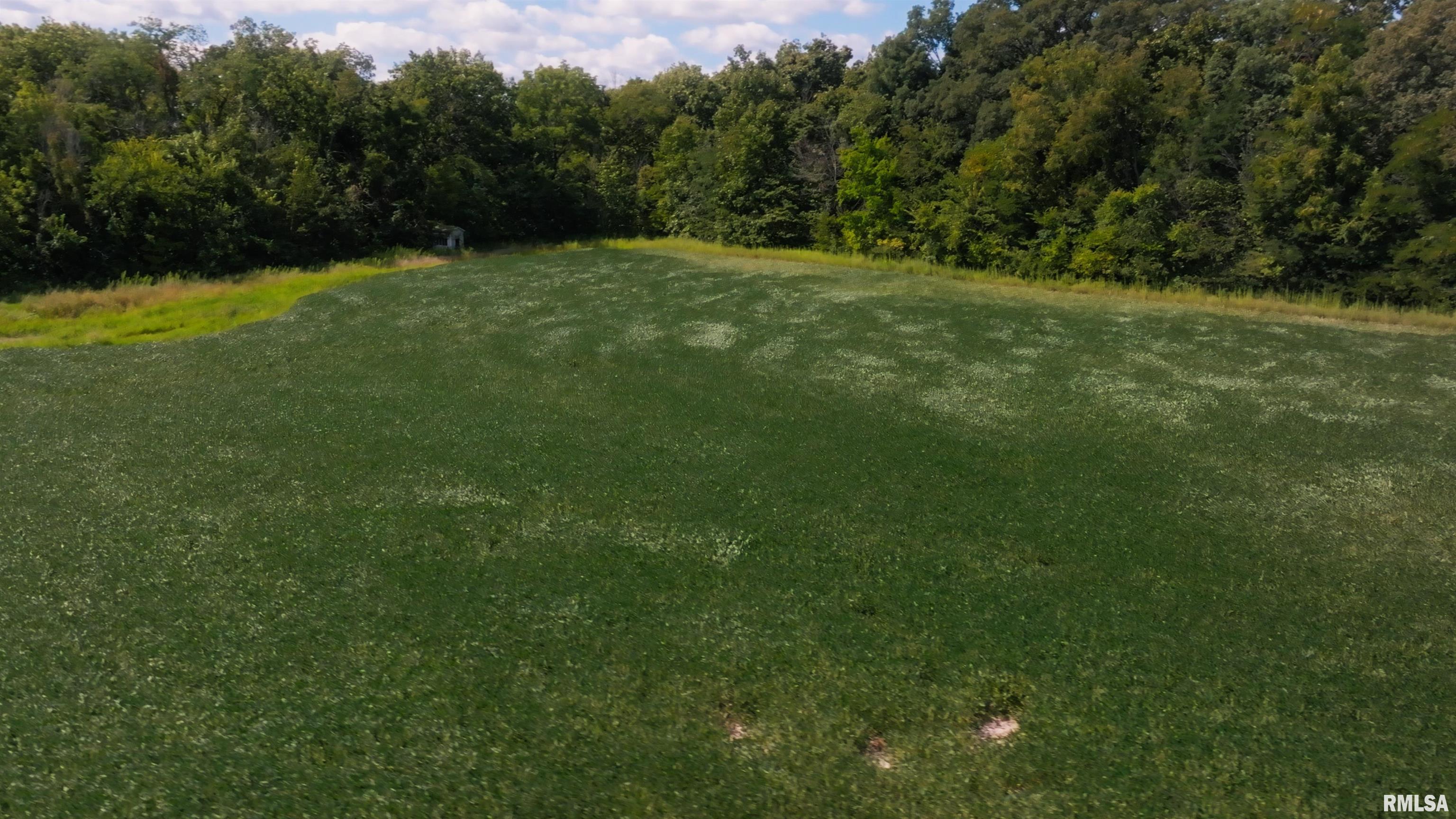 0 County Road 1550 Road Oakland, IL 61943 - Photo 10 of 22