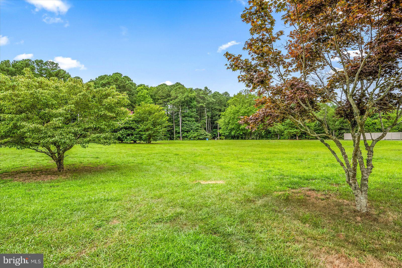 13222 Muskrat Town Road Bishopville, MD 21813 - Photo 51 of 53 Gallery Image 51