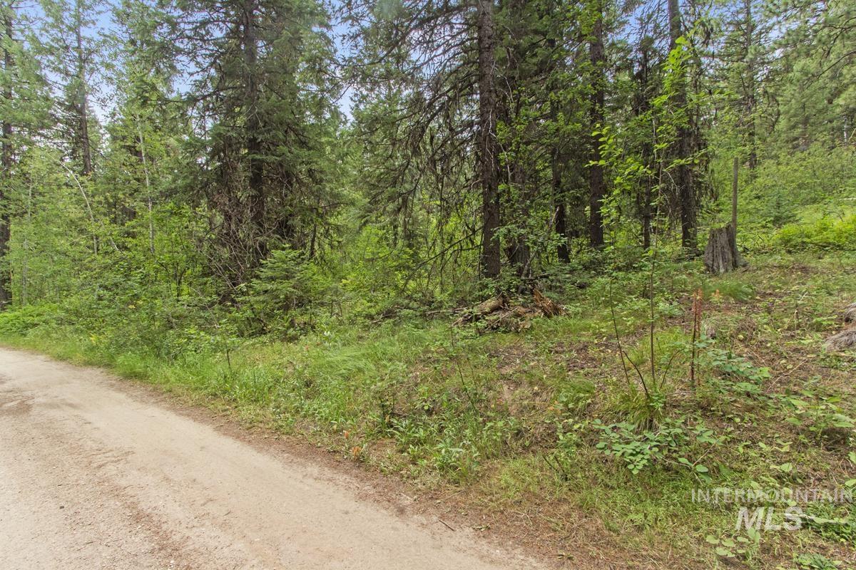 517 Susan Road Cascade, ID 83611 - Photo 2 of 9