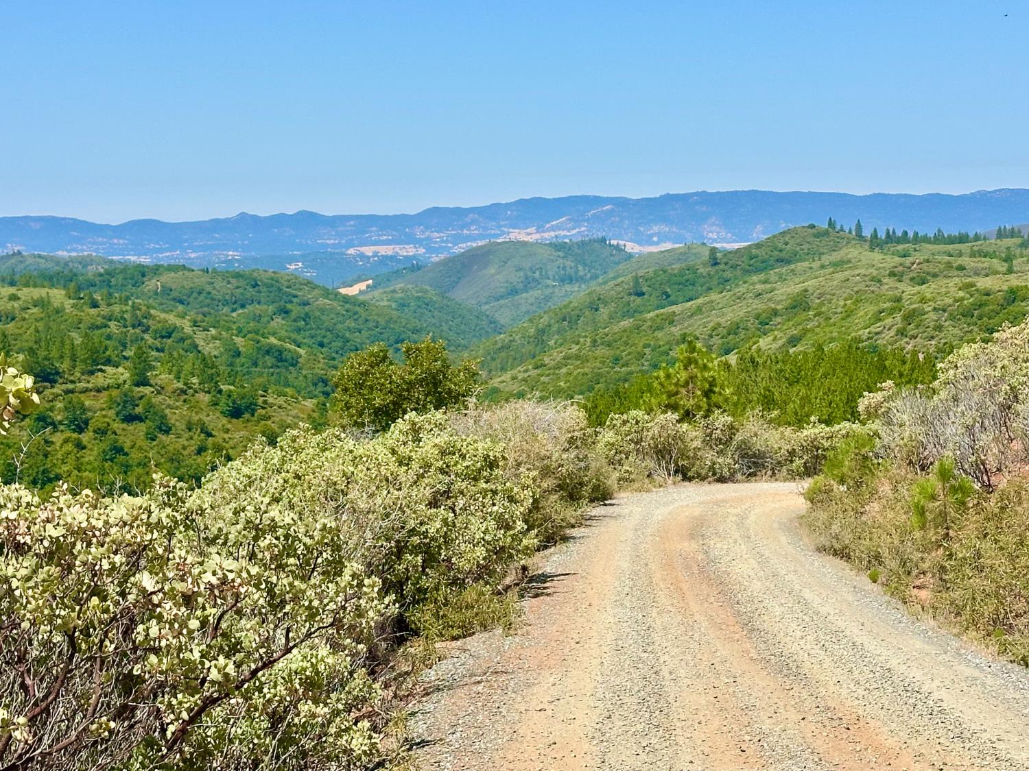 4022 Sheep Ranch Road Murphys, CA 95247 - Photo 75 of 81