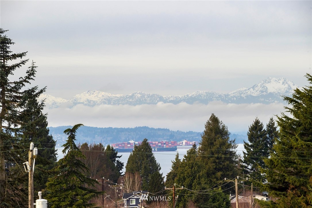 6012 A California Avenue Southwest Seattle, WA 98136 - Photo 23 of 30 a view of lake with mountain in the back