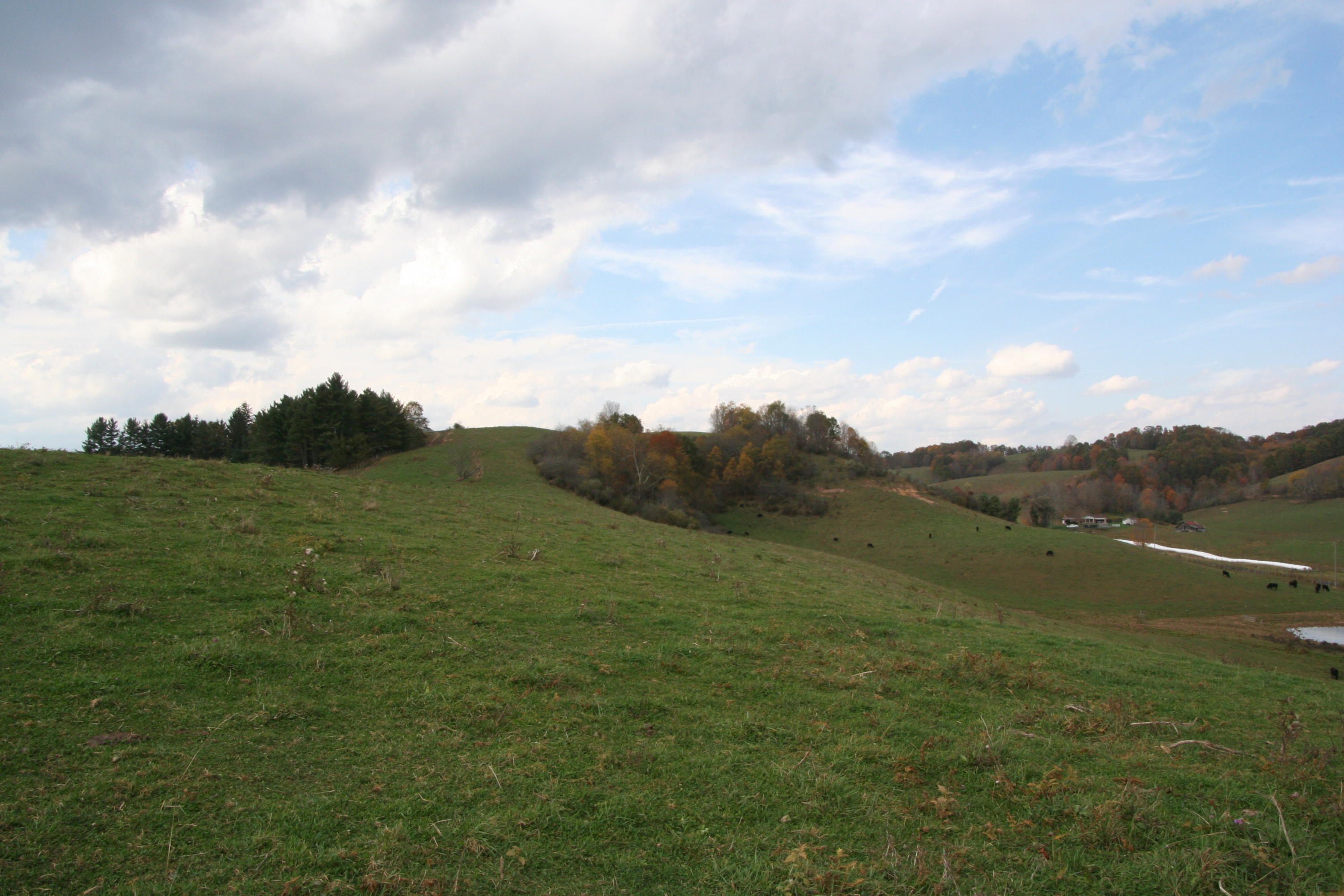 1302 Dawson Lk Road Meadow Bridge, WV 25976 - Photo 5 of 6 Gallery Image 5