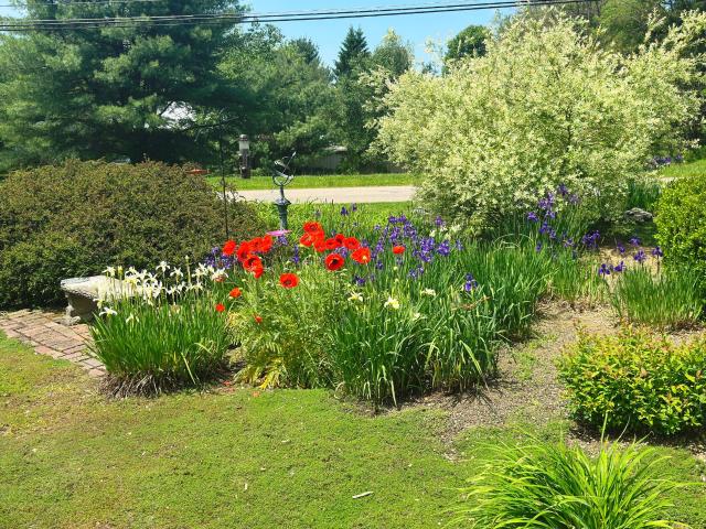 96 Yankee Bush Road Warren, PA 16365 - Photo 6 of 19 Gallery Image 6