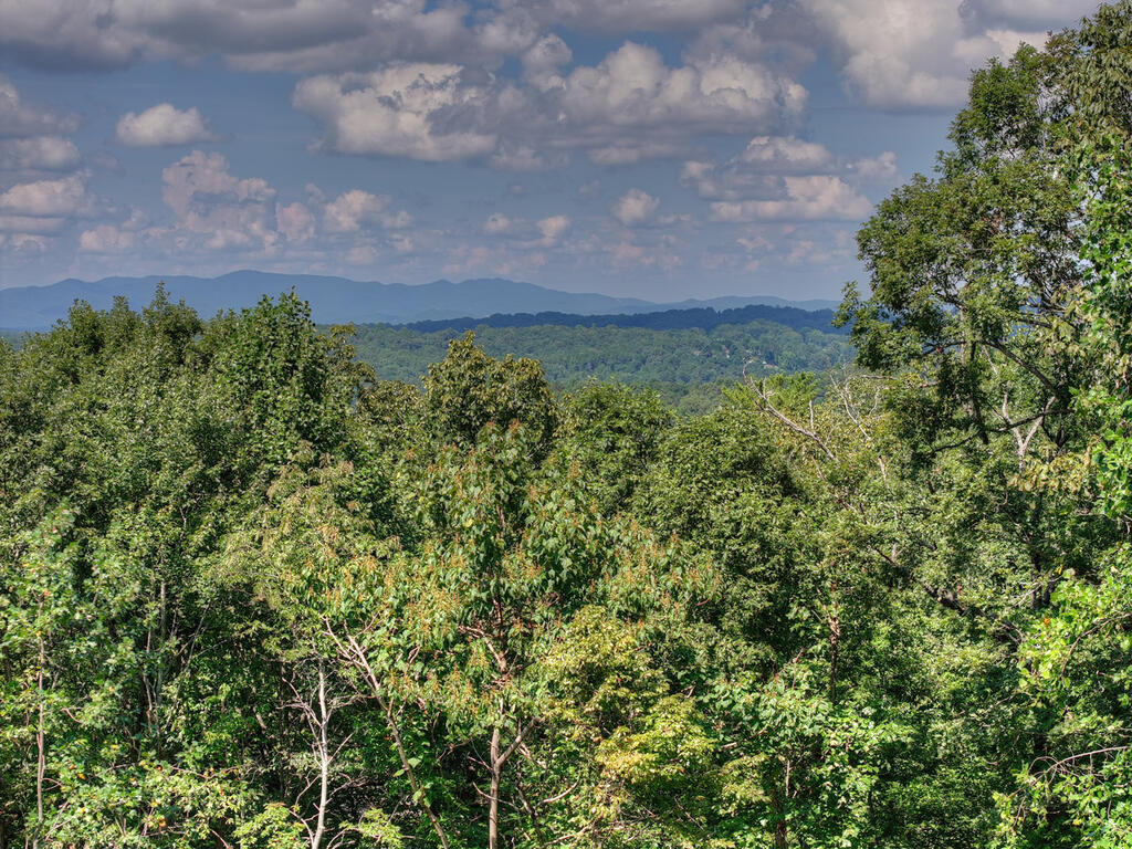 8 North Face Drive Blue Ridge, GA 30513 - Photo 19 of 67 Gallery Image 19