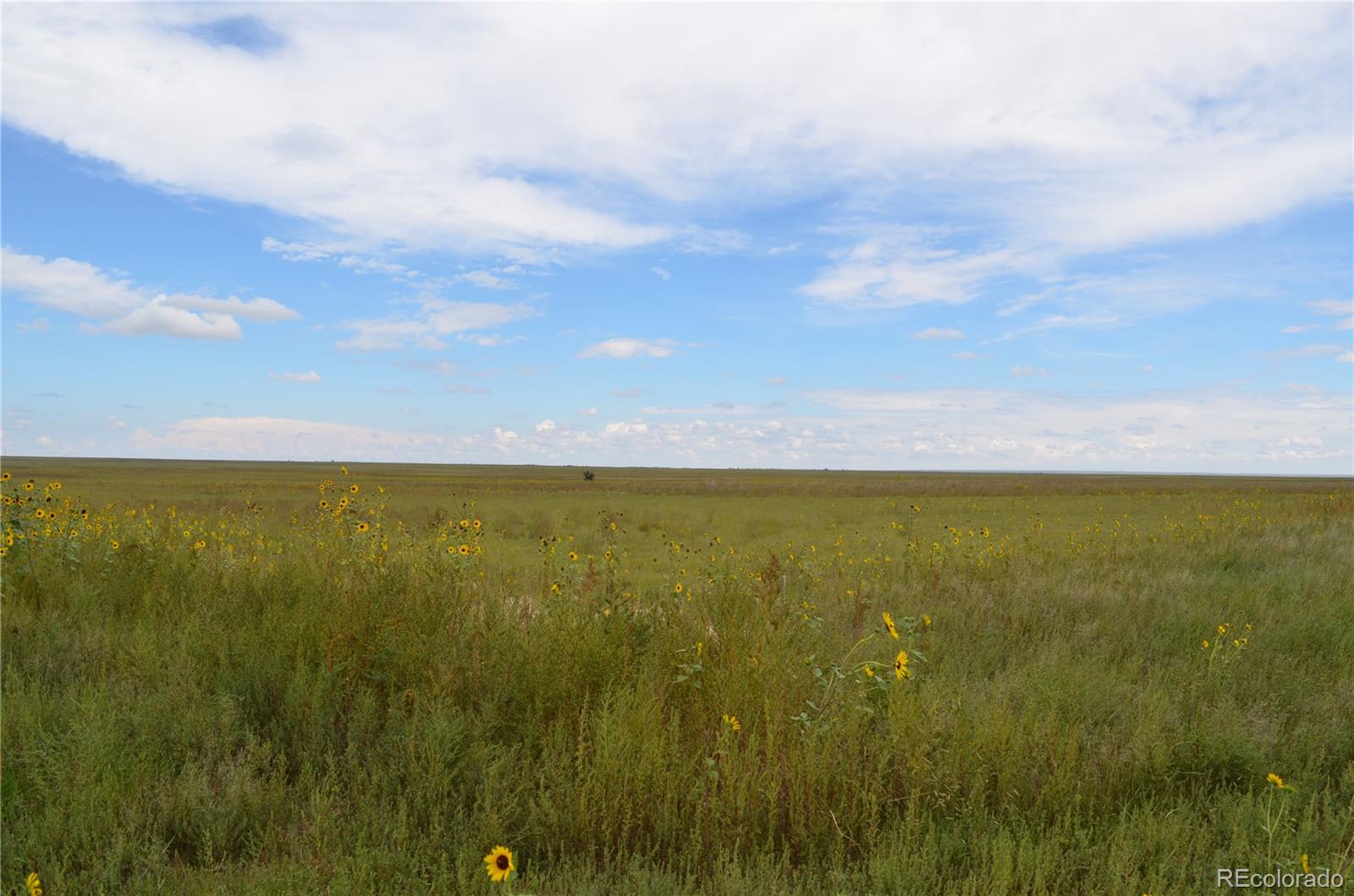 7 County Road Rush, CO 80833 - Photo 1 of 7 Gallery Image 1
